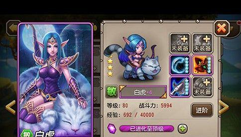 《刀塔传奇》游戏80至90级英雄培养方式详解（从装备选择到技能提升）