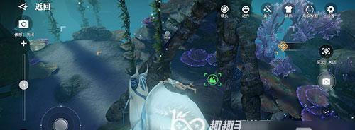 天谕手游（寻找呆呆坐标位置）