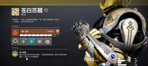 命运2职业属性详解（深入探究命运2的职业特性）