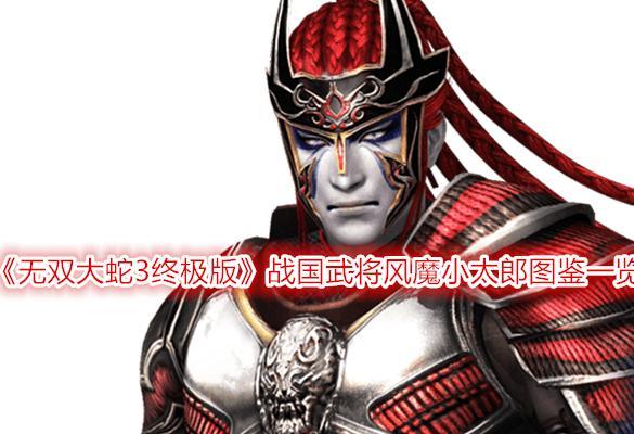 无双大蛇3全武将极限属性排行一览（这些角色绝对不能错过）