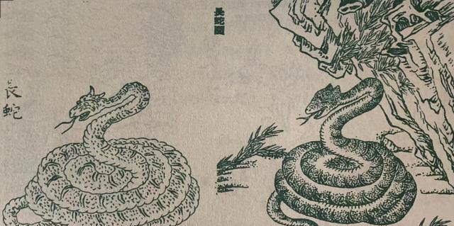 天命奇御残叶异典获得方法？学习残叶异典的步骤是什么？