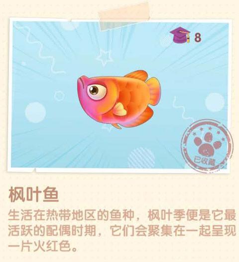 天天酷跑枫叶之灵获得方法攻略？如何快速获取枫叶之灵？