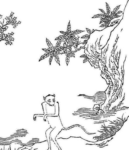 白色猿猴在洛克王国中如何获得？获取方法有哪些？