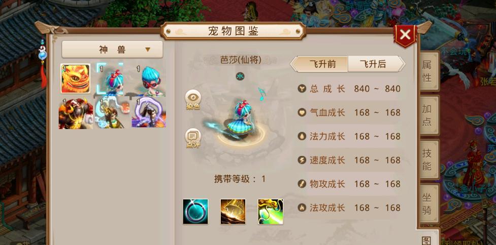 问道手游中坐骑如何显示？显示设置方法是什么？
