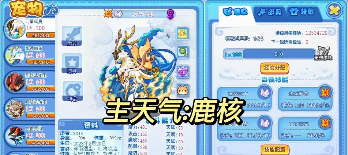 洛克王国天梯赛的玩法是什么？