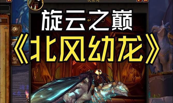 魔兽高地幼龙幻象战斗策略是什么？