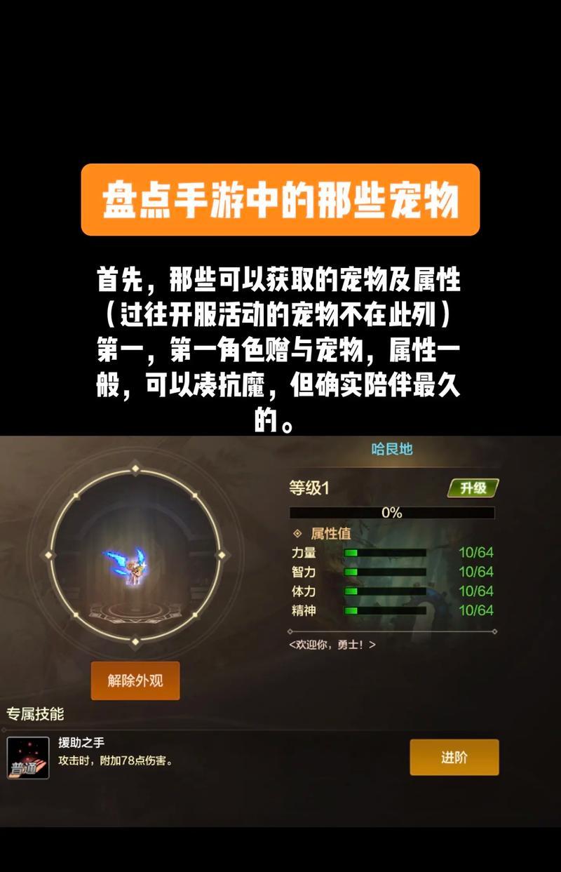 地下城与勇士宠物领取流程是什么？