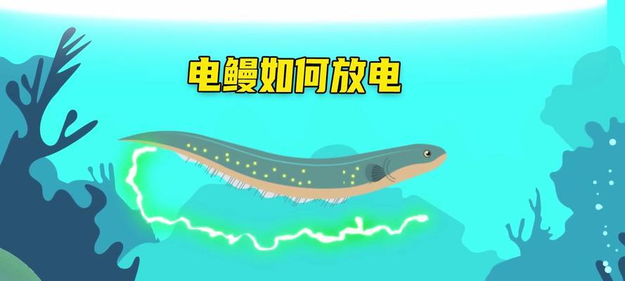 星际战甲分解电鳗的使用方法是什么？电鳗在分解中有何优势？